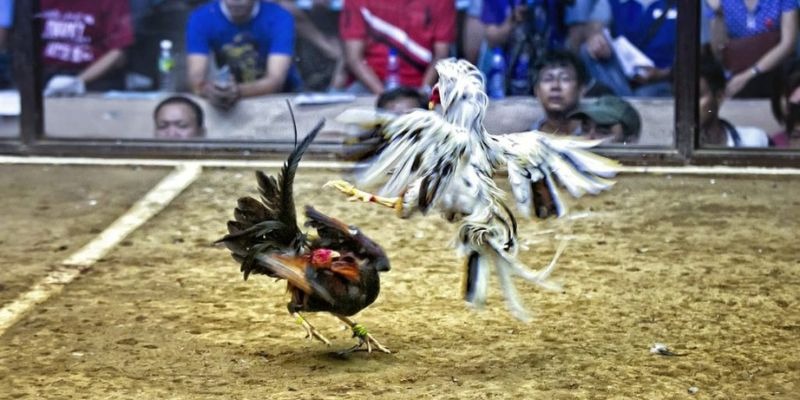 11bet ﻿đăng nhập lô đề uy tín