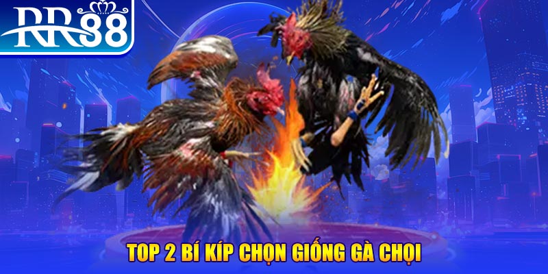 11bet bắn cá h5