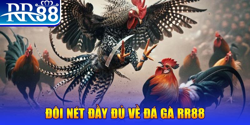 11bet gà chọi hoà phong