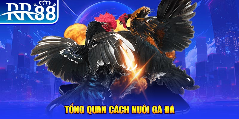 11bet xổ số thứ ba