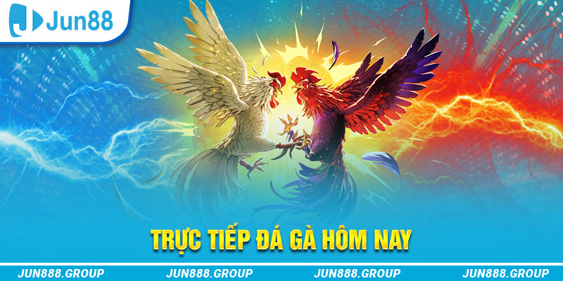 11bet trực tiếp đá gà thomo