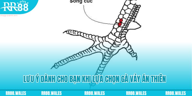 11bet xổ số khánh hòa