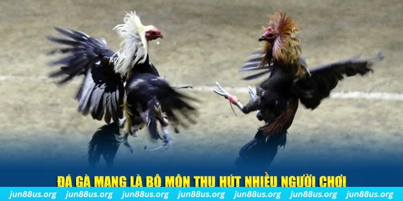 11bet xổ số long an