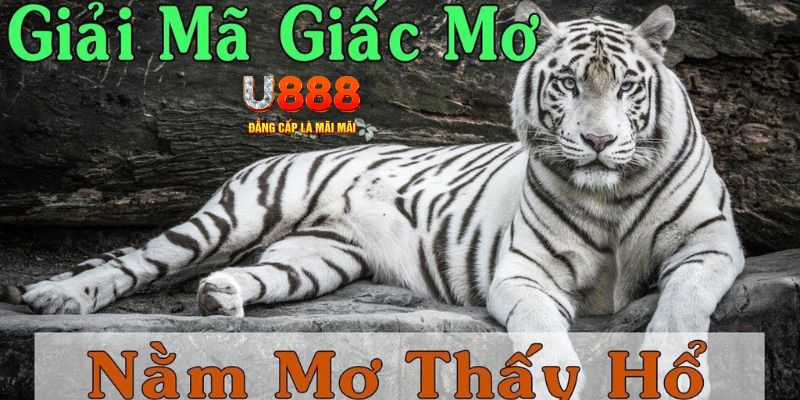 11bet Bài Poker Joker