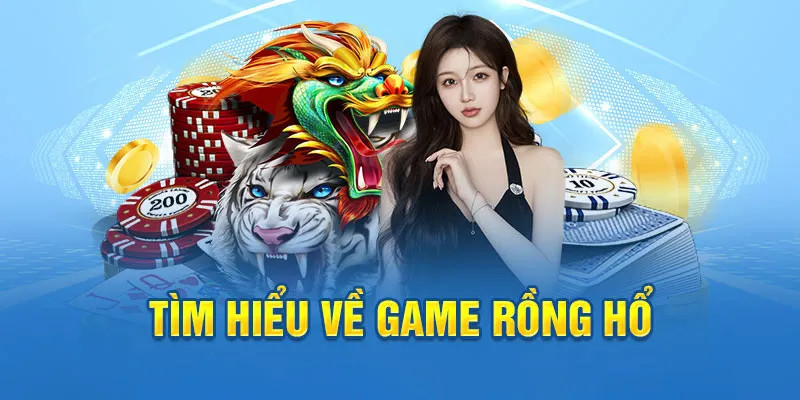 11bet ai tool slot 8.0
