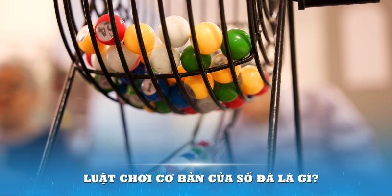11bet Đĩa màu ace