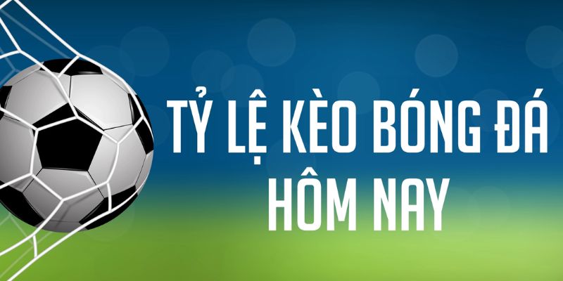 11bet ÁT CHỦ MÁY HOA QUẢ THẦN TÀI