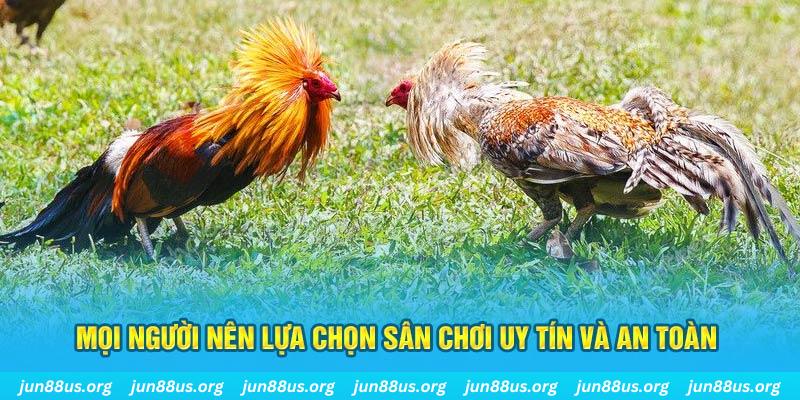 11bet Tài Xỉu