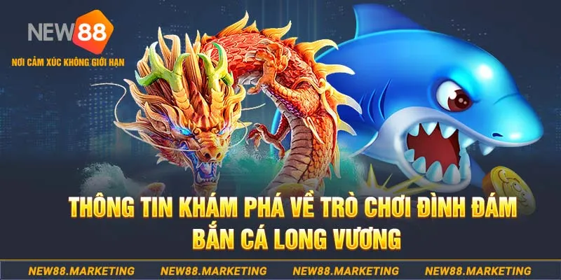 11bet choi ga c1