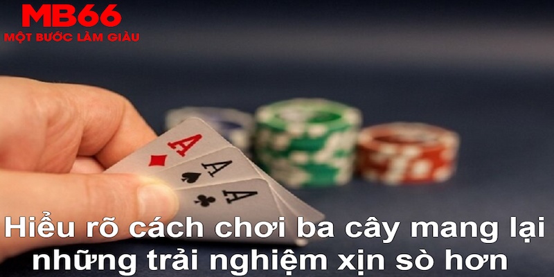 11bet DB Trực Tuyến