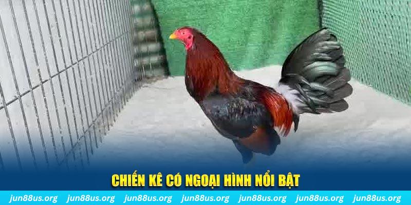 11bet nhạc slot là gì