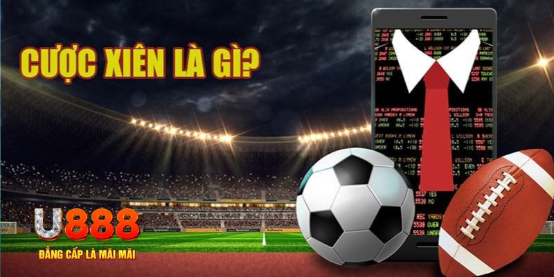 11bet đá gà thomo hôm nay